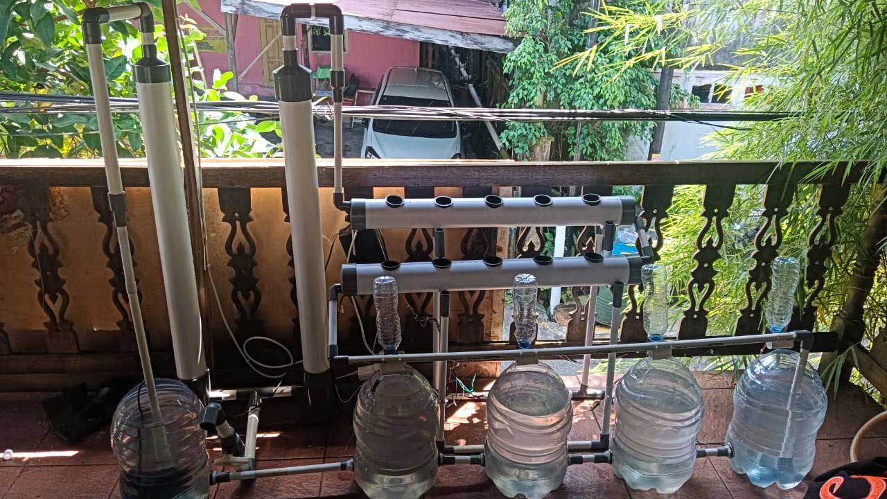 Aquaponik Pintar, Kontrol Pakan Lele dan Kualitas Air Lewat Ponsel karya tugas akhir mahasiswa S1 Informatika Semester 4. Foto: Istimewa